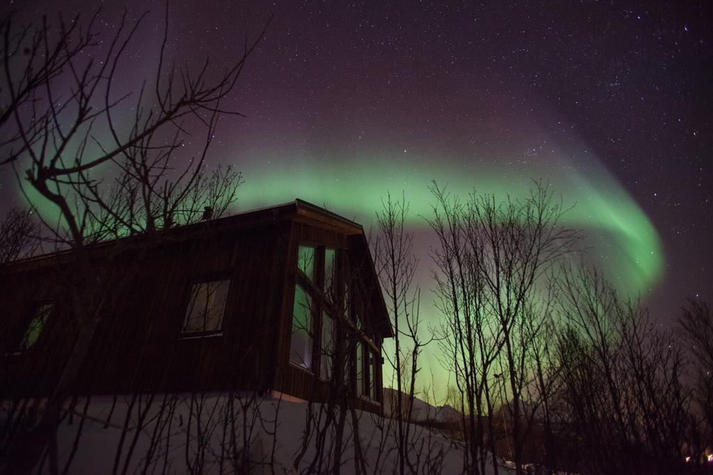 Aurora View Cabin Lyngseidet Luaran gambar