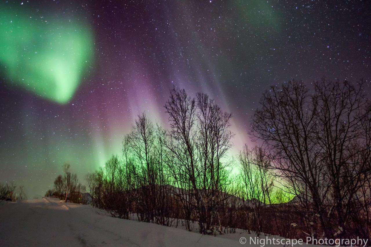 Aurora View Cabin Lyngseidet Luaran gambar