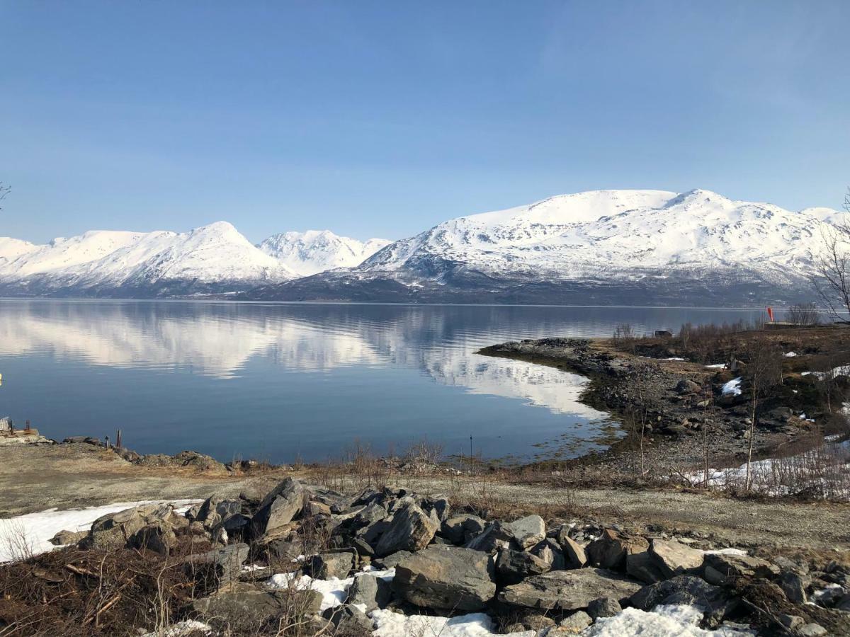 Aurora View Cabin Lyngseidet Luaran gambar
